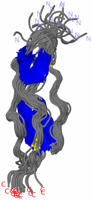 Image NMR Structure - all models