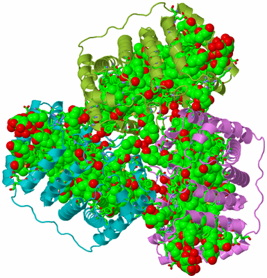 Image Asym./Biol. Unit - sites