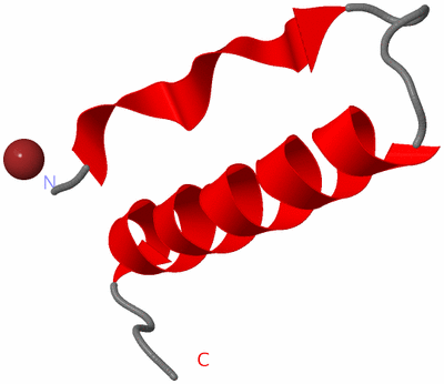 Image Asymmetric Unit