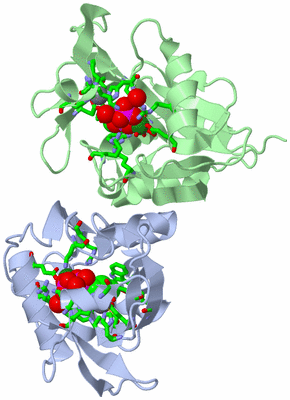 Image Asym./Biol. Unit - sites