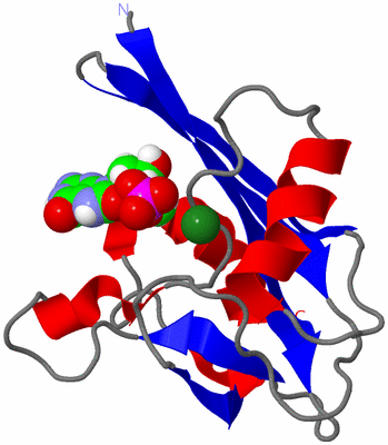 Image NMR Structure - model 1