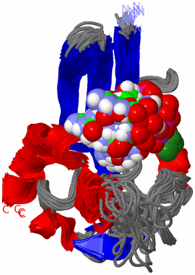 Image NMR Structure - all models