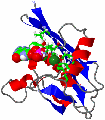 Image NMR Structure - model 1, sites