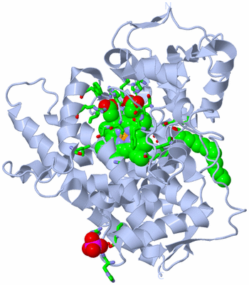 Image Biol. Unit 1 - sites