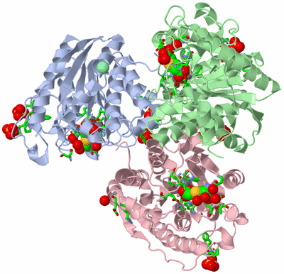 Image Biol. Unit 1 - sites