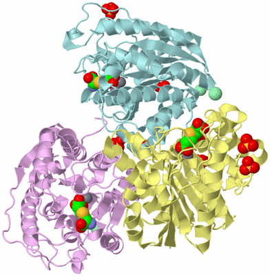 Image Biological Unit 2