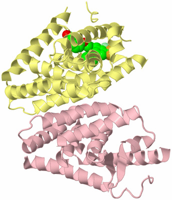 Image Biological Unit 2