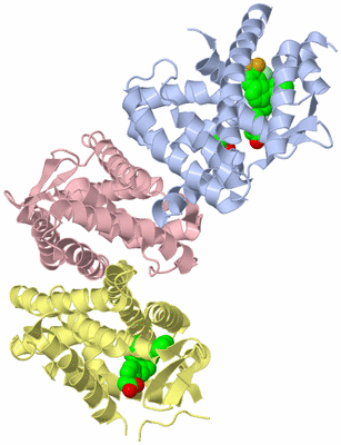 Image Biological Unit 3