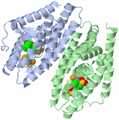 Image Biological Unit 1