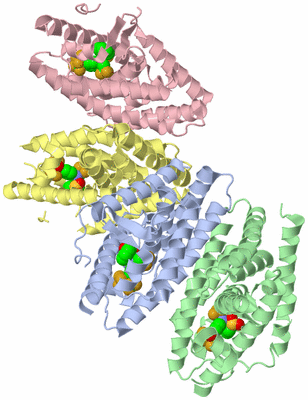 Image Biological Unit 3