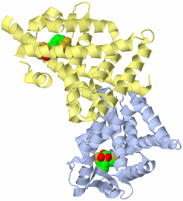 Image Biological Unit 4