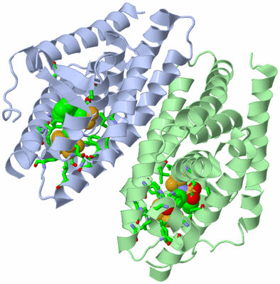 Image Biol. Unit 1 - sites