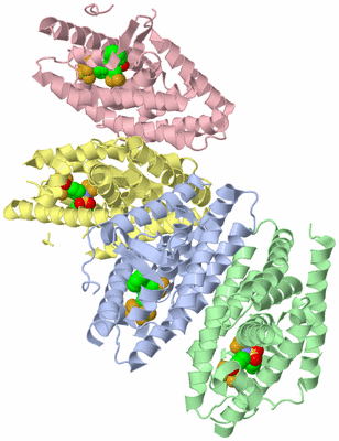 Image Biological Unit 3