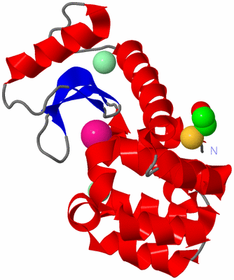 Image Asym./Biol. Unit