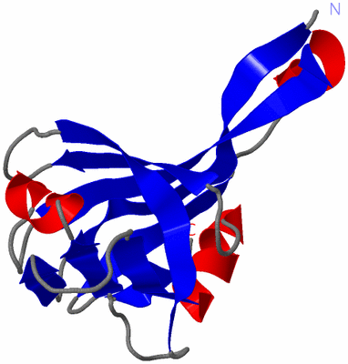 Image Asymmetric Unit