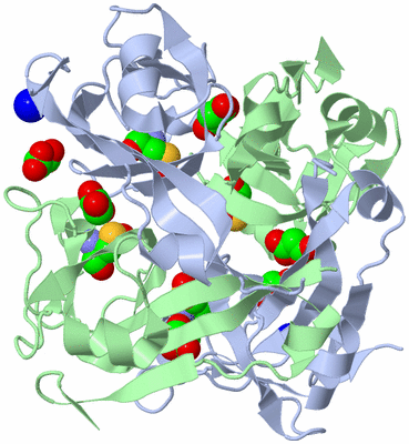 Image Biological Unit 1