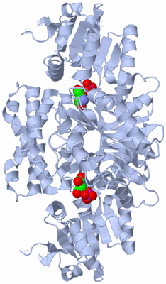 Image Biological Unit 1