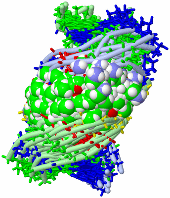 Image NMR Structure - all models