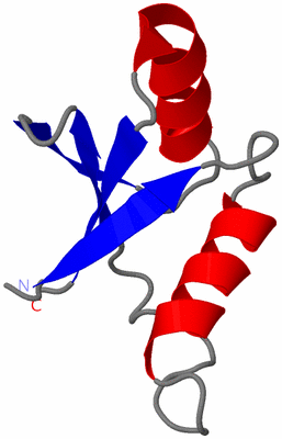 Image NMR Structure - model 1