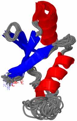 Image NMR Structure - all models