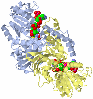 Image Biological Unit 1