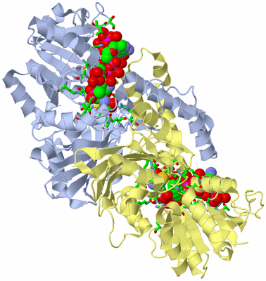 Image Biol. Unit 1 - sites