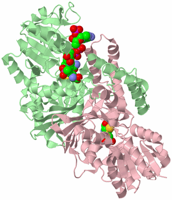 Image Biological Unit 2