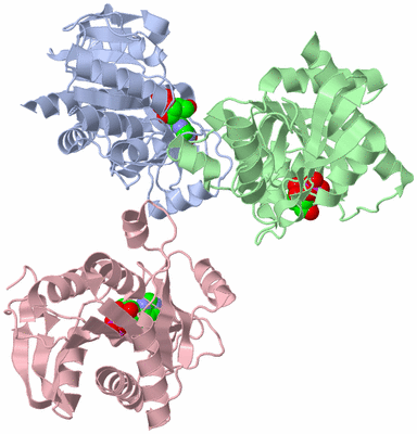 Image Asymmetric Unit
