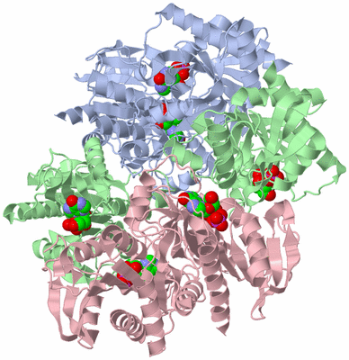 Image Biological Unit 1