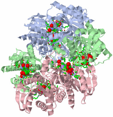 Image Biol. Unit 1 - sites