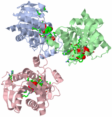 Image Asym. Unit - sites