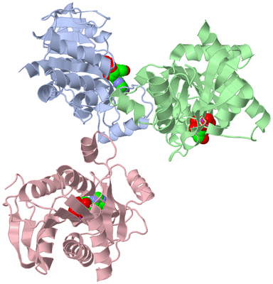 Image Asymmetric Unit