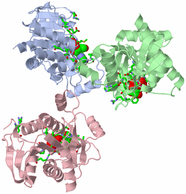 Image Asym. Unit - sites