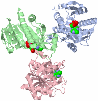 Image Asymmetric Unit