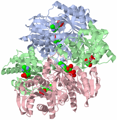 Image Biological Unit 1
