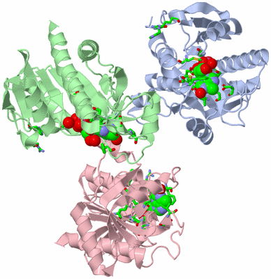 Image Asym. Unit - sites
