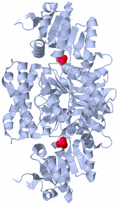 Image Biological Unit 2