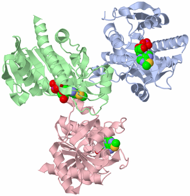 Image Asymmetric Unit