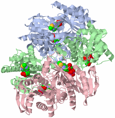 Image Biological Unit 1