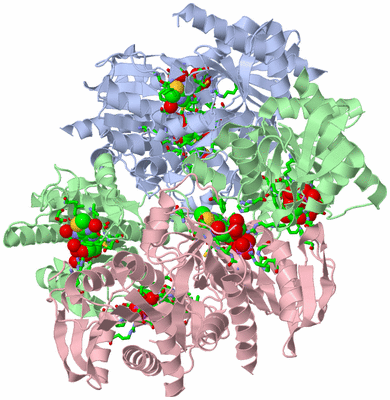 Image Biol. Unit 1 - sites