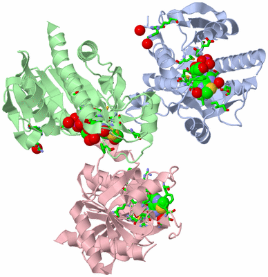 Image Asym. Unit - sites