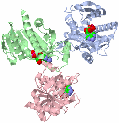 Image Asymmetric Unit