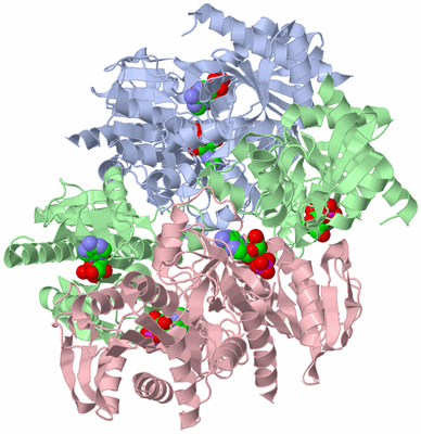 Image Biological Unit 1