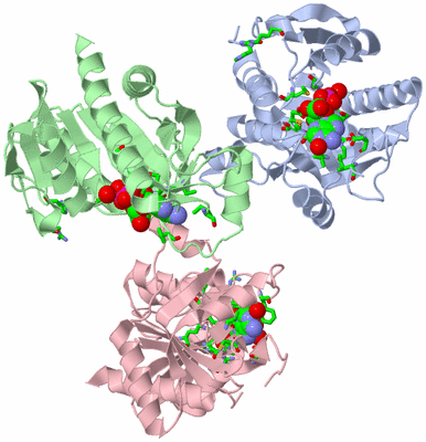 Image Asym. Unit - sites