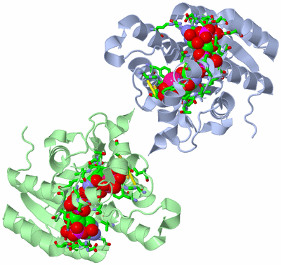 Image Biol. Unit 1 - sites