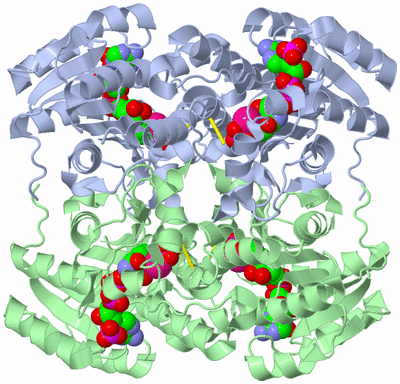 Image Biological Unit 2