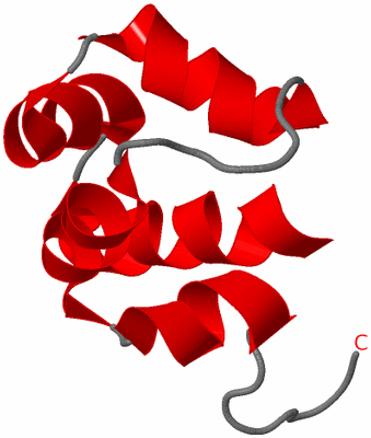 Image NMR Structure - model 1