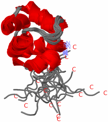 Image NMR Structure - all models