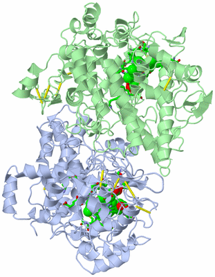 Image Asym./Biol. Unit - sites