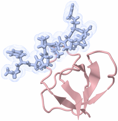 Image NMR Structure - model 1